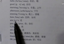 英语短视频初中,Engaging English Video Summary for Junior High Students