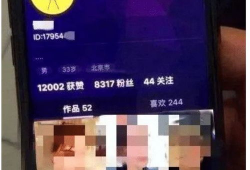 成人短视频在线,成人娱乐内容的新趋势与挑战