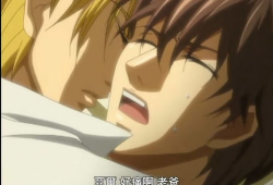 异国色恋浪漫谭动漫,跨越国界的浪漫传奇