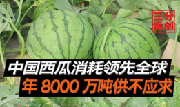 广西柳州吃瓜爆料是真的吗,真相揭秘，是真是假？
